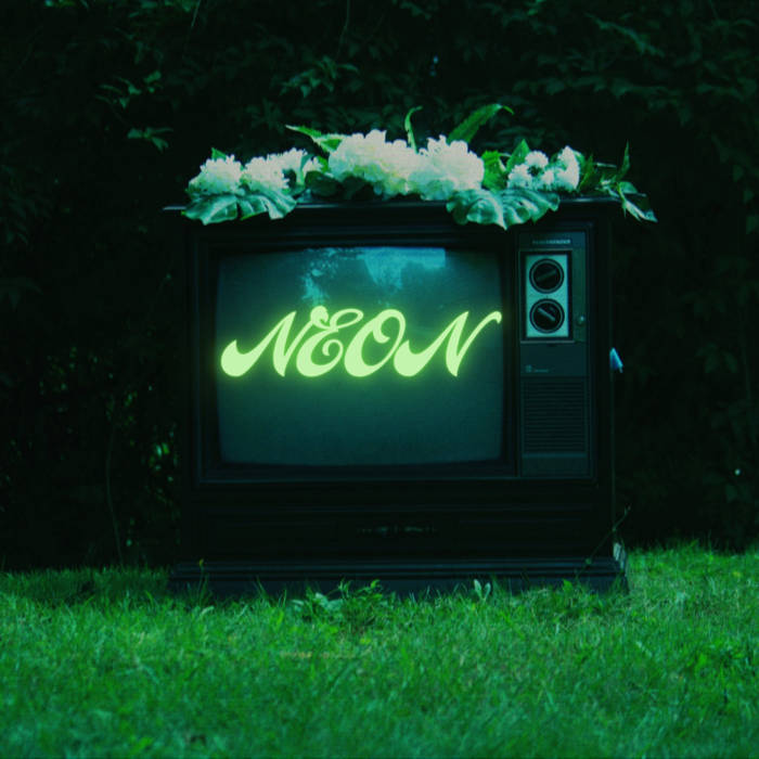 Album artwork for Book Buddies' Neon feature a 1970s television with the words Neon in green sitting outdoors in green grass.
